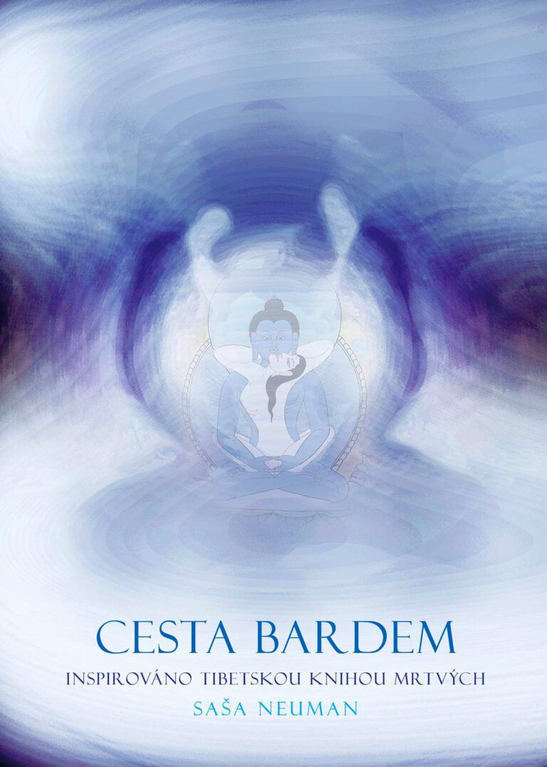 Cesta-bardem_cover_web